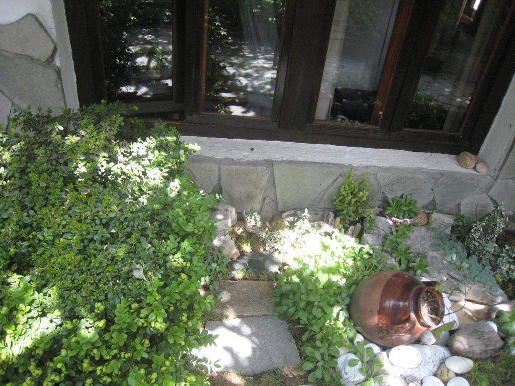 Guest House Voyno Dobrinishte Exterior foto