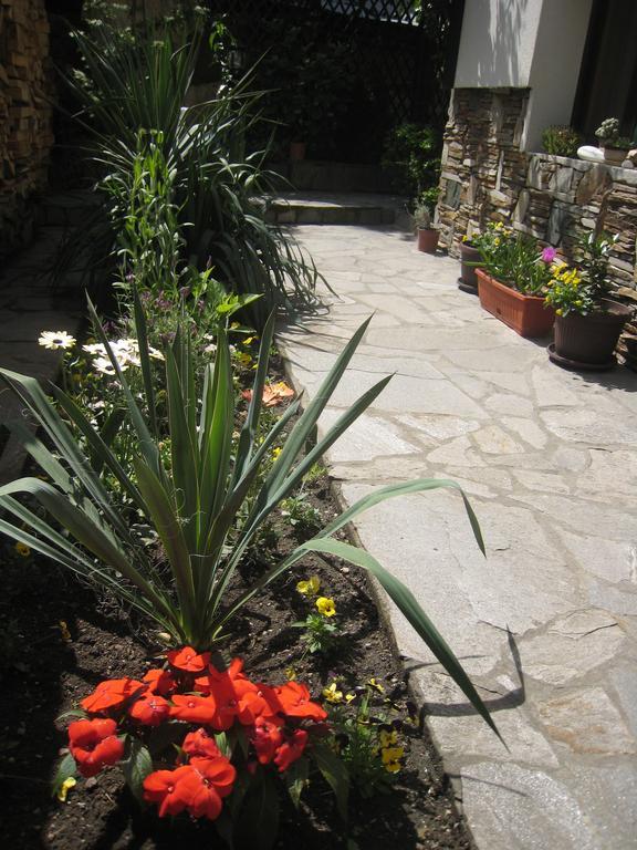 Guest House Voyno Dobrinishte Exterior foto